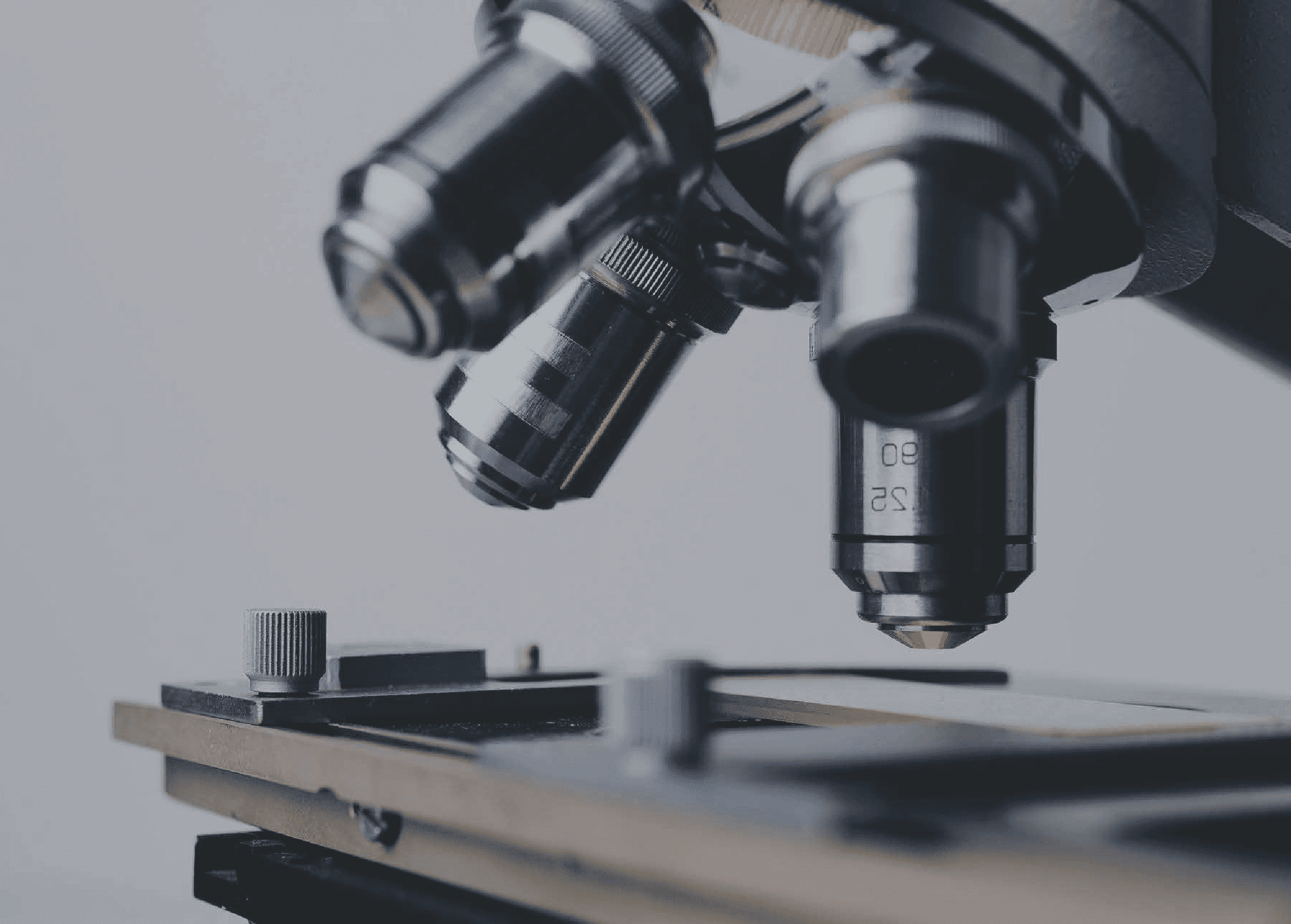 SP Biotech Beauty PLT | 询问表格