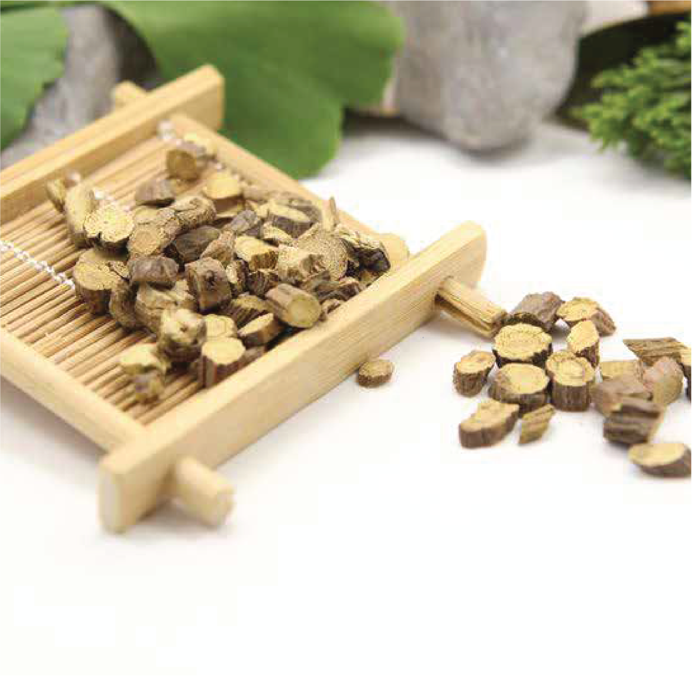 SP Biotech Beauty PLT | 甘菊蓝精华
