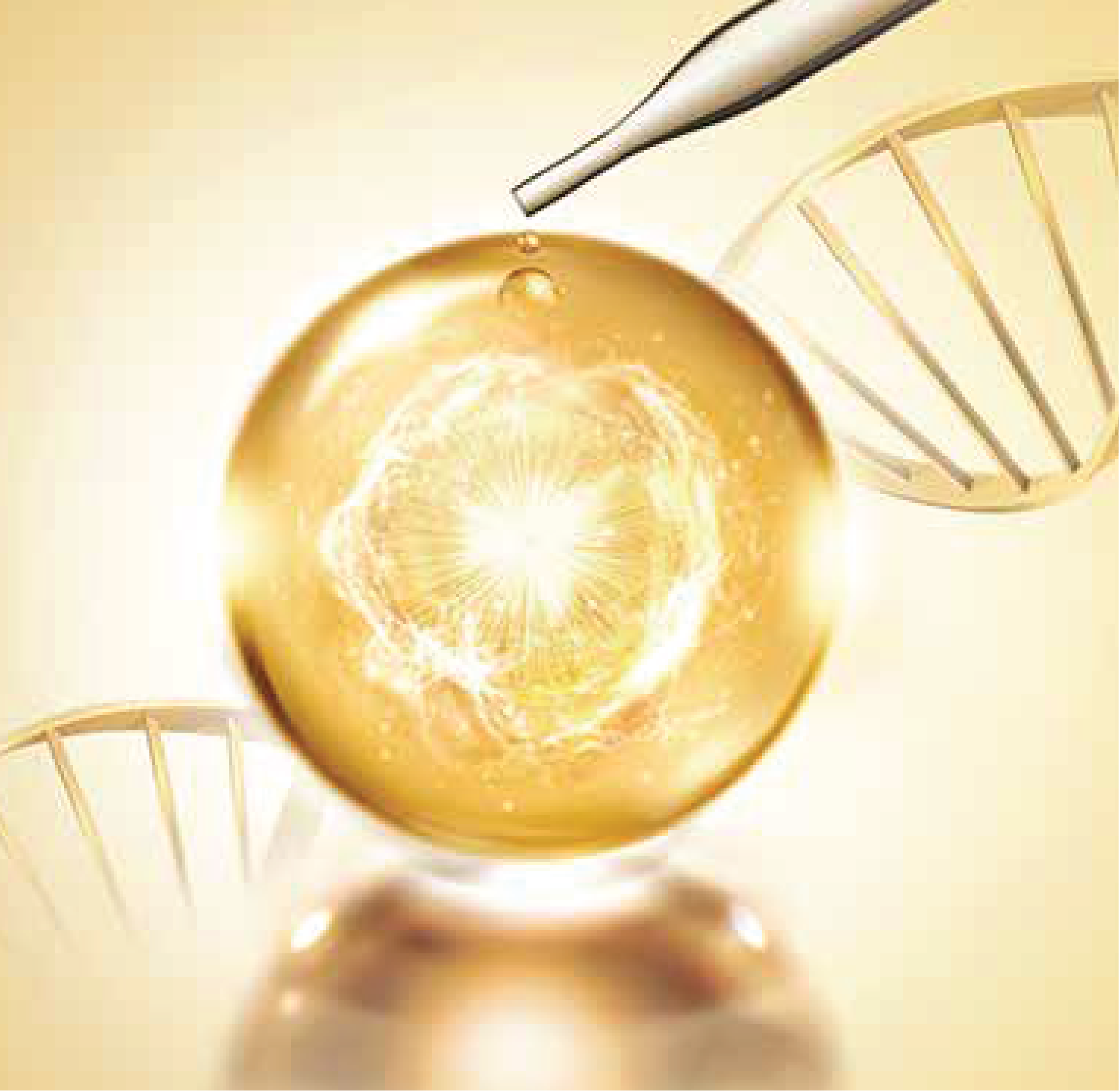 SP Biotech Beauty PLT | 烟酰胺