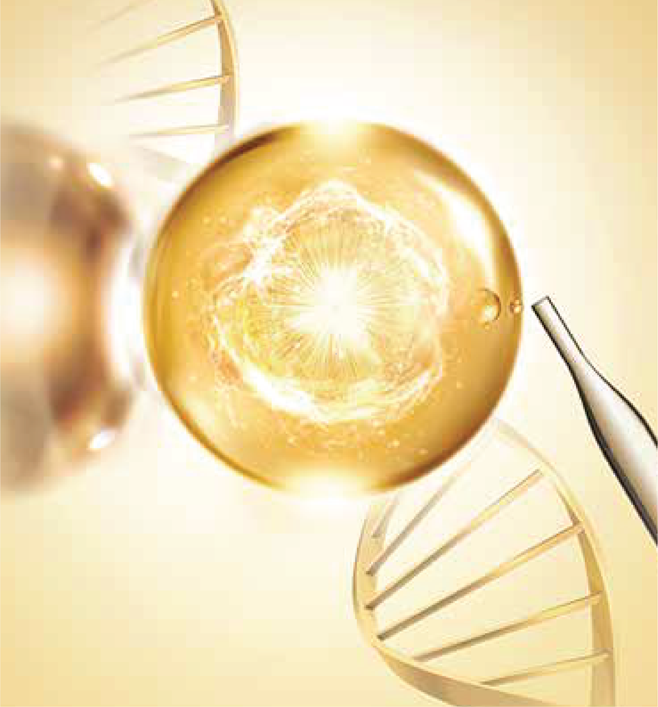 SP Biotech Beauty PLT | 烟酰胺