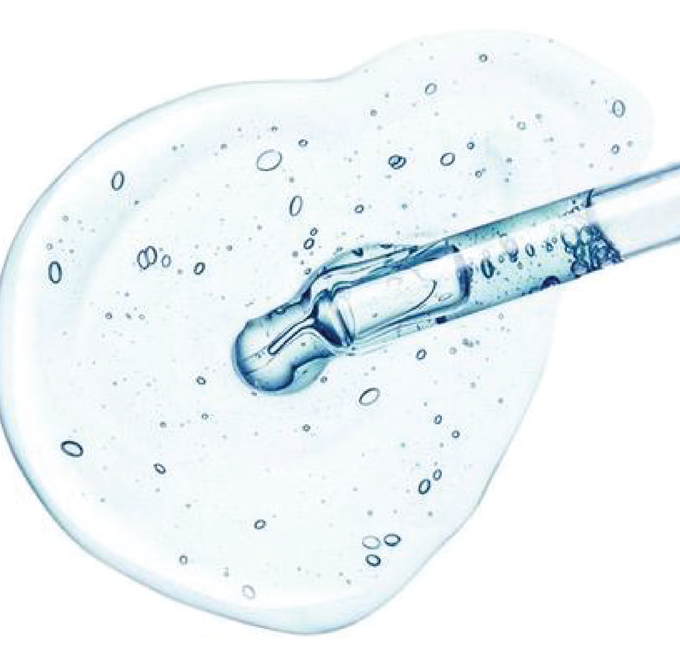 SP Biotech Beauty PLT | 保湿霜