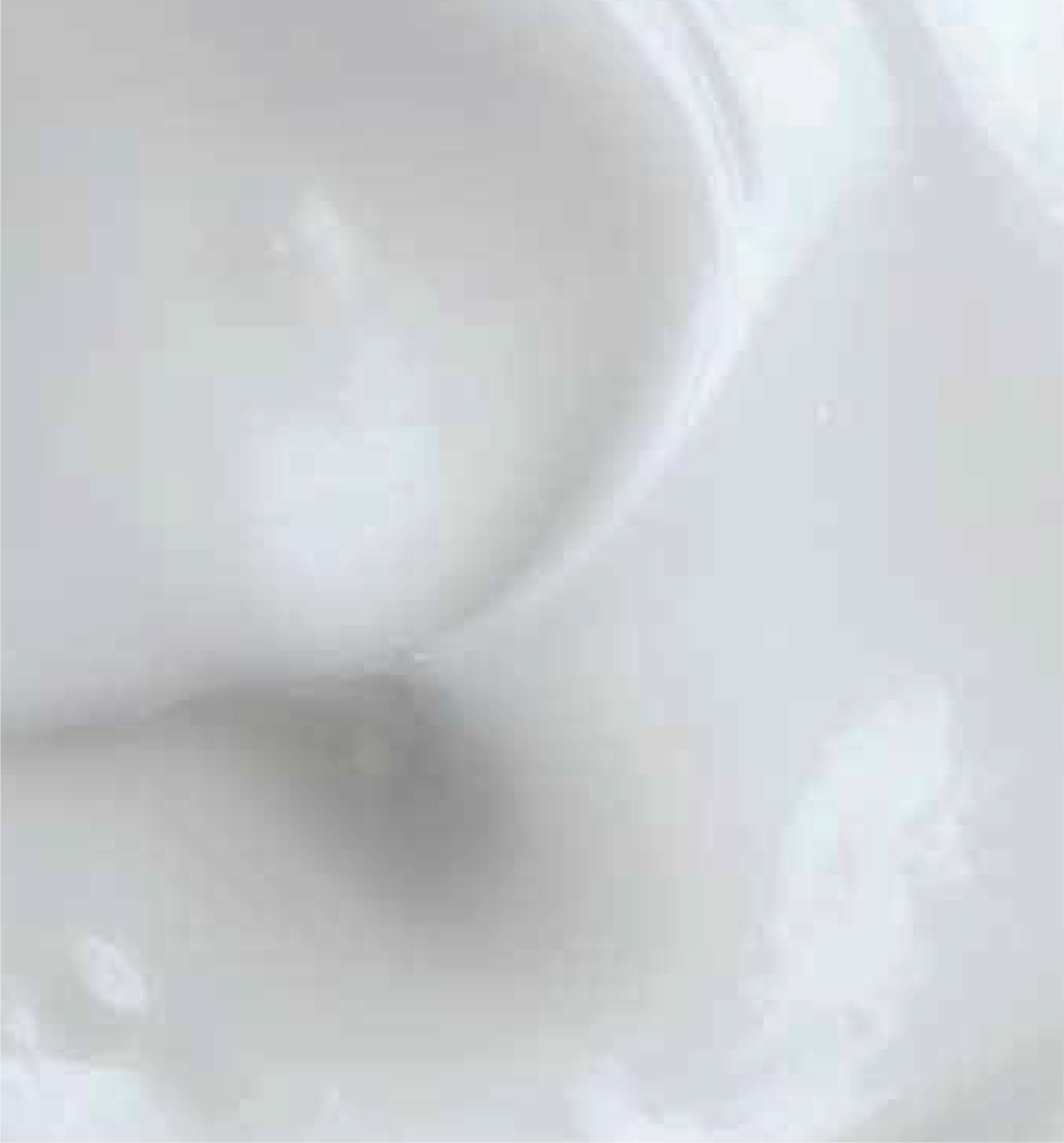 SP Biotech Beauty PLT | 胶原蛋白