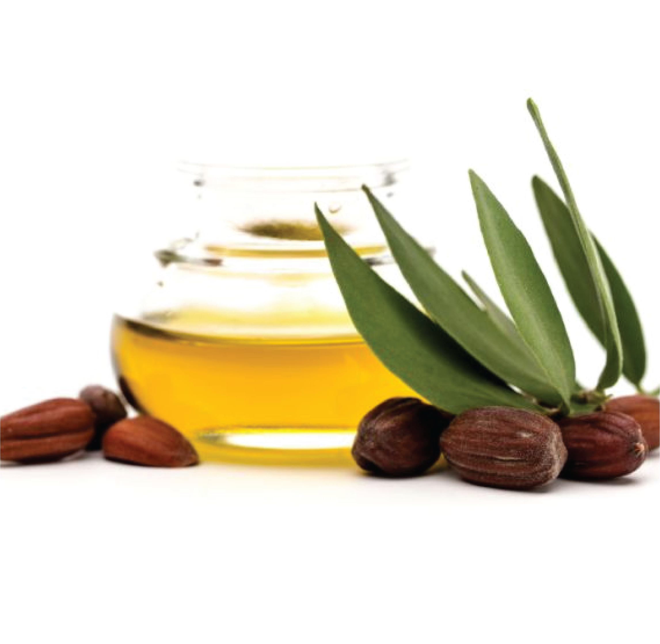 SP Biotech Beauty PLT | cc垫