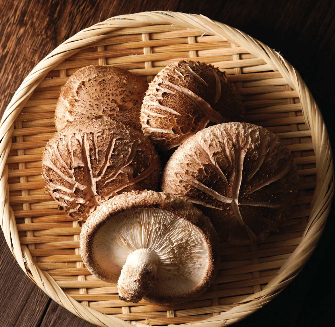 SP Biotech Beauty PLT | 紧肤凝胶