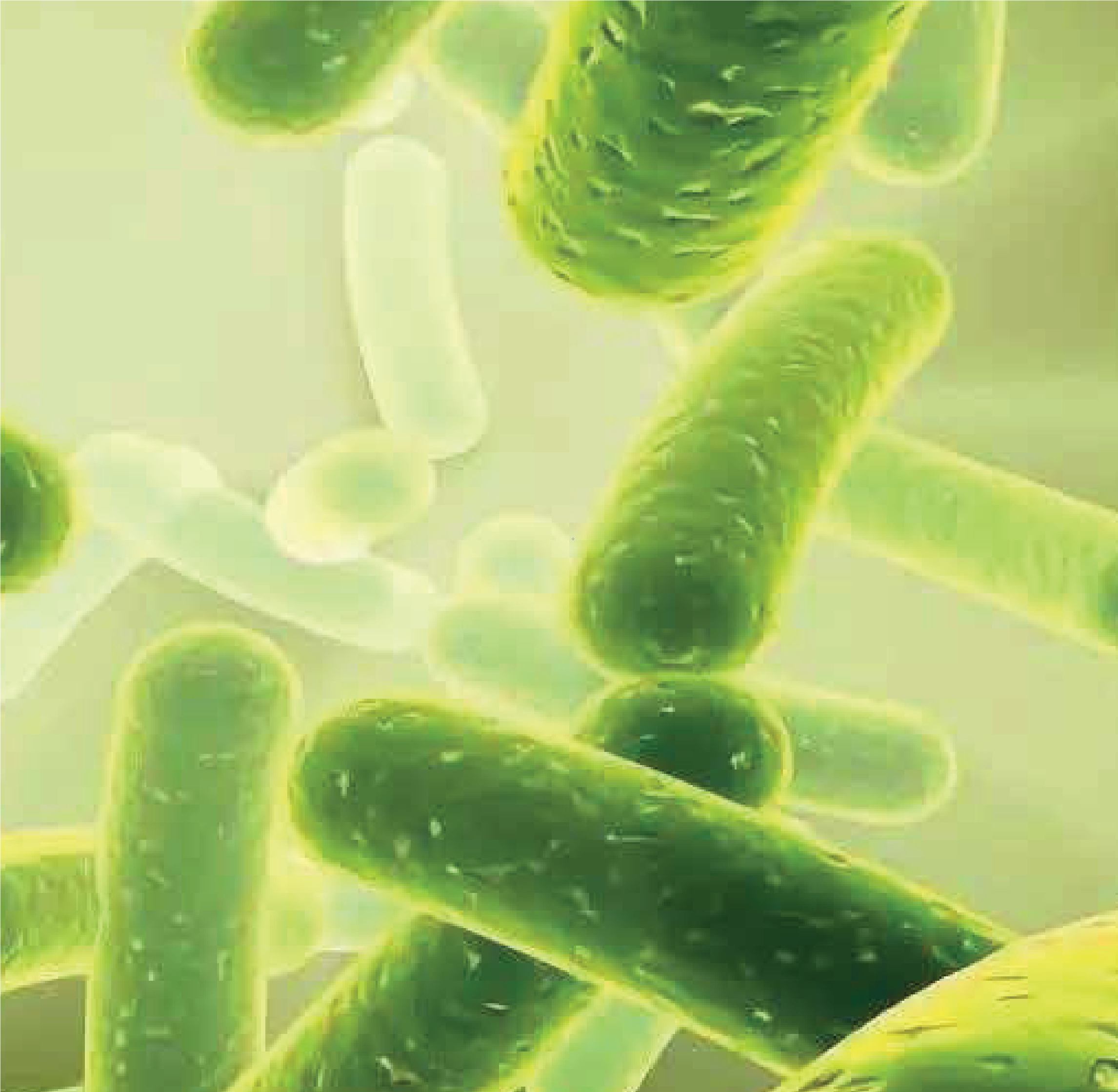 SP Biotech Beauty PLT | 排毒饮品
